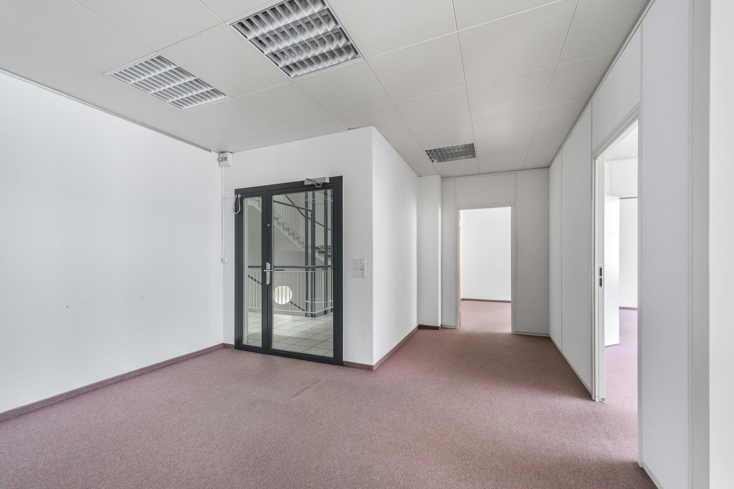 291m² commercial