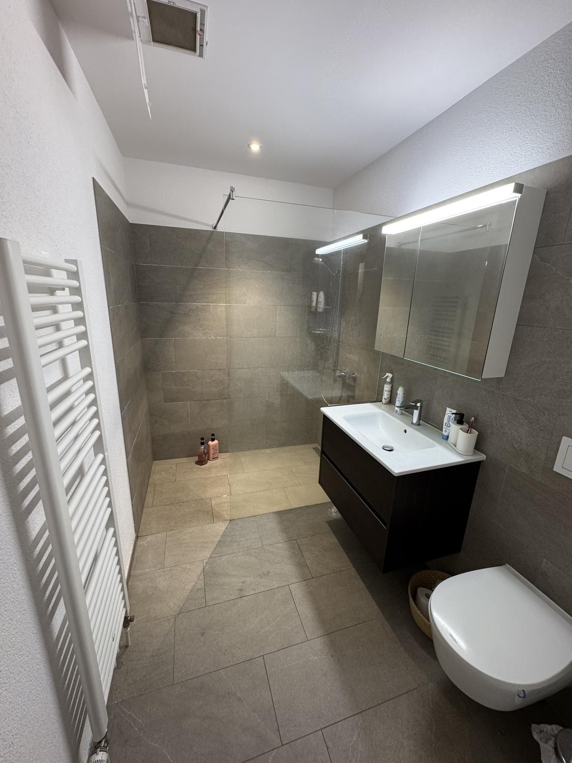 2 ½ Zimmer Wohnung