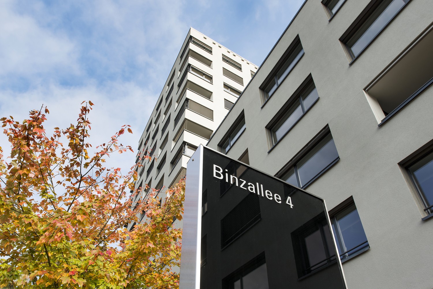383m² office