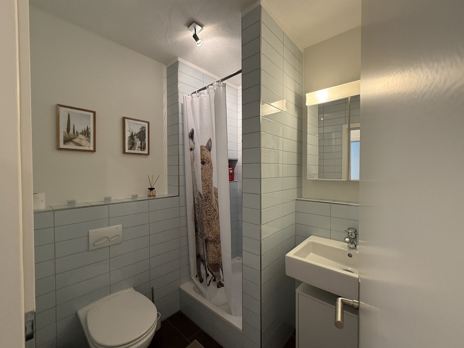 appartamento arredato di 2 ½ locali, foto 8 di 9