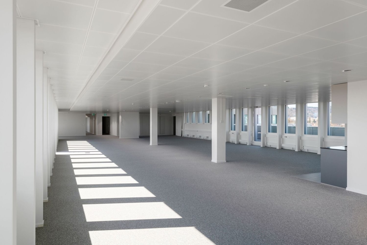 1050m² office