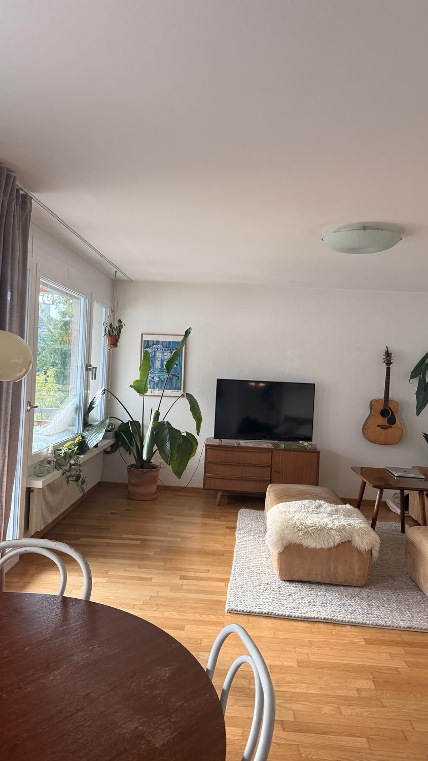 2 ½ rooms apartment