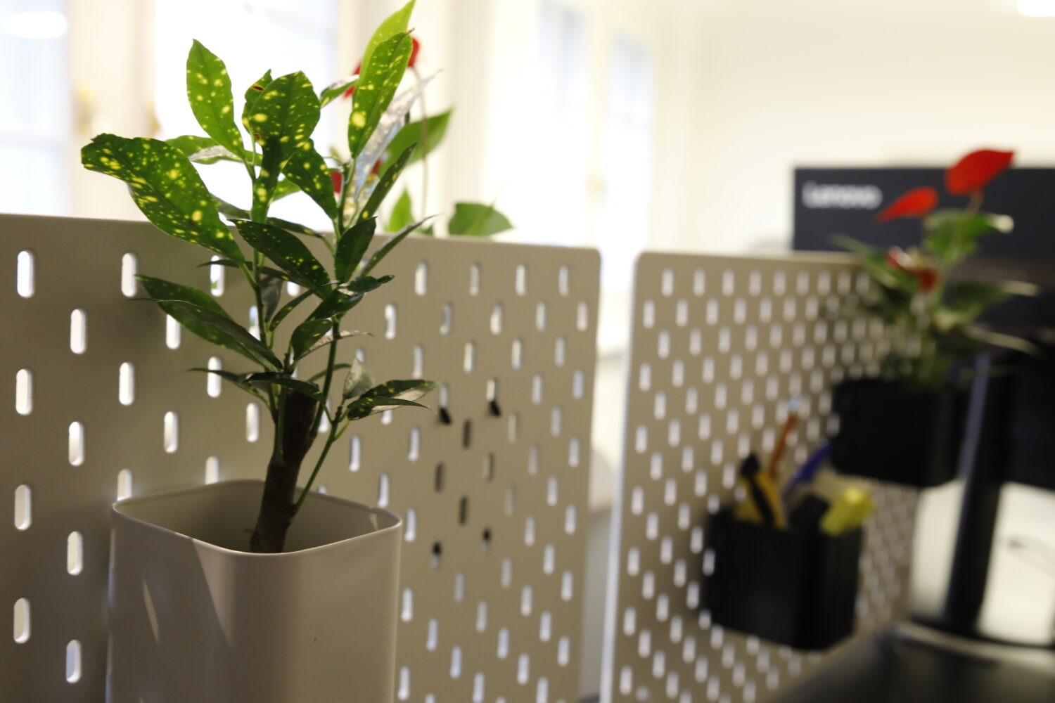 Büro, Foto 8 von 10