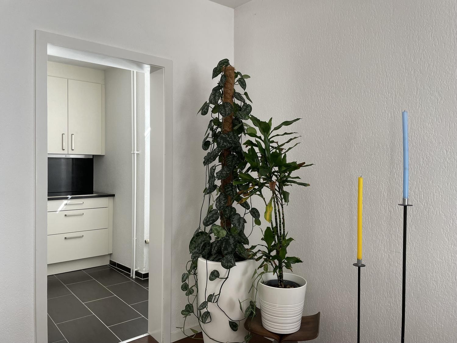 Appartement de 2 ½ pièces, photo 5 sur 8
