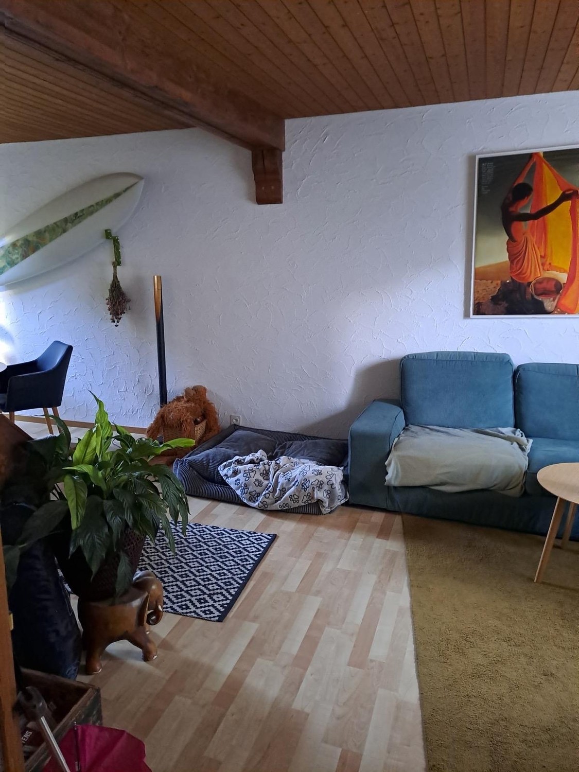 3 rooms single house, Foto 1 von 10