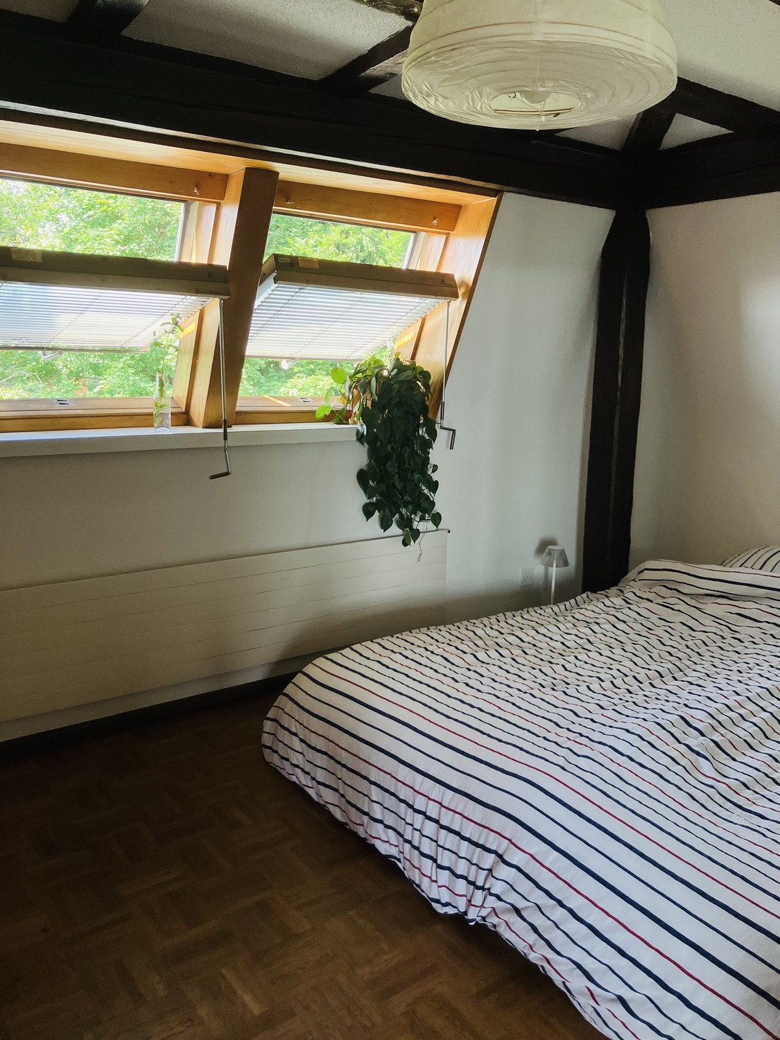 2 ½ Zimmer-Wohnung