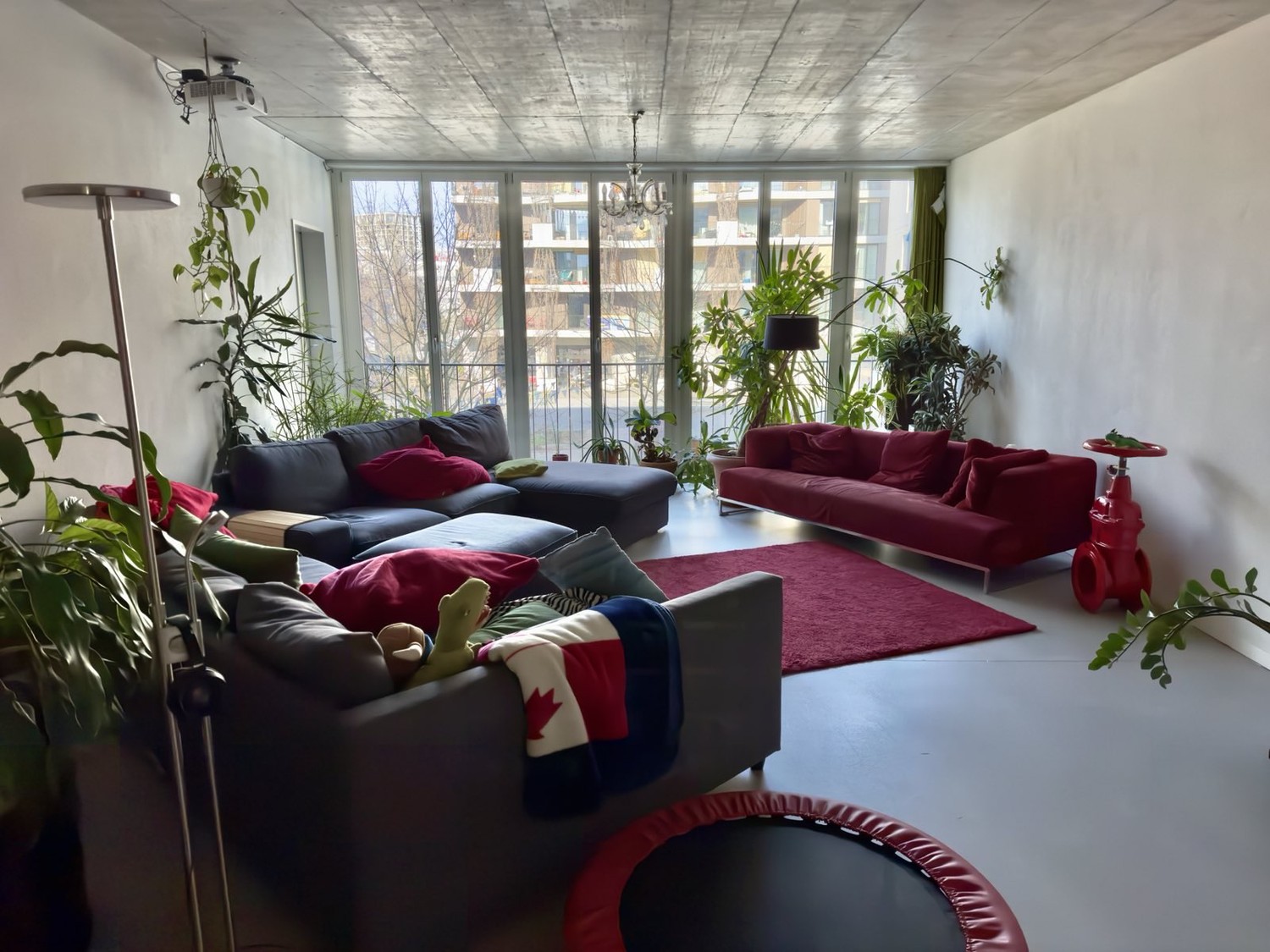 Room in a shared flat