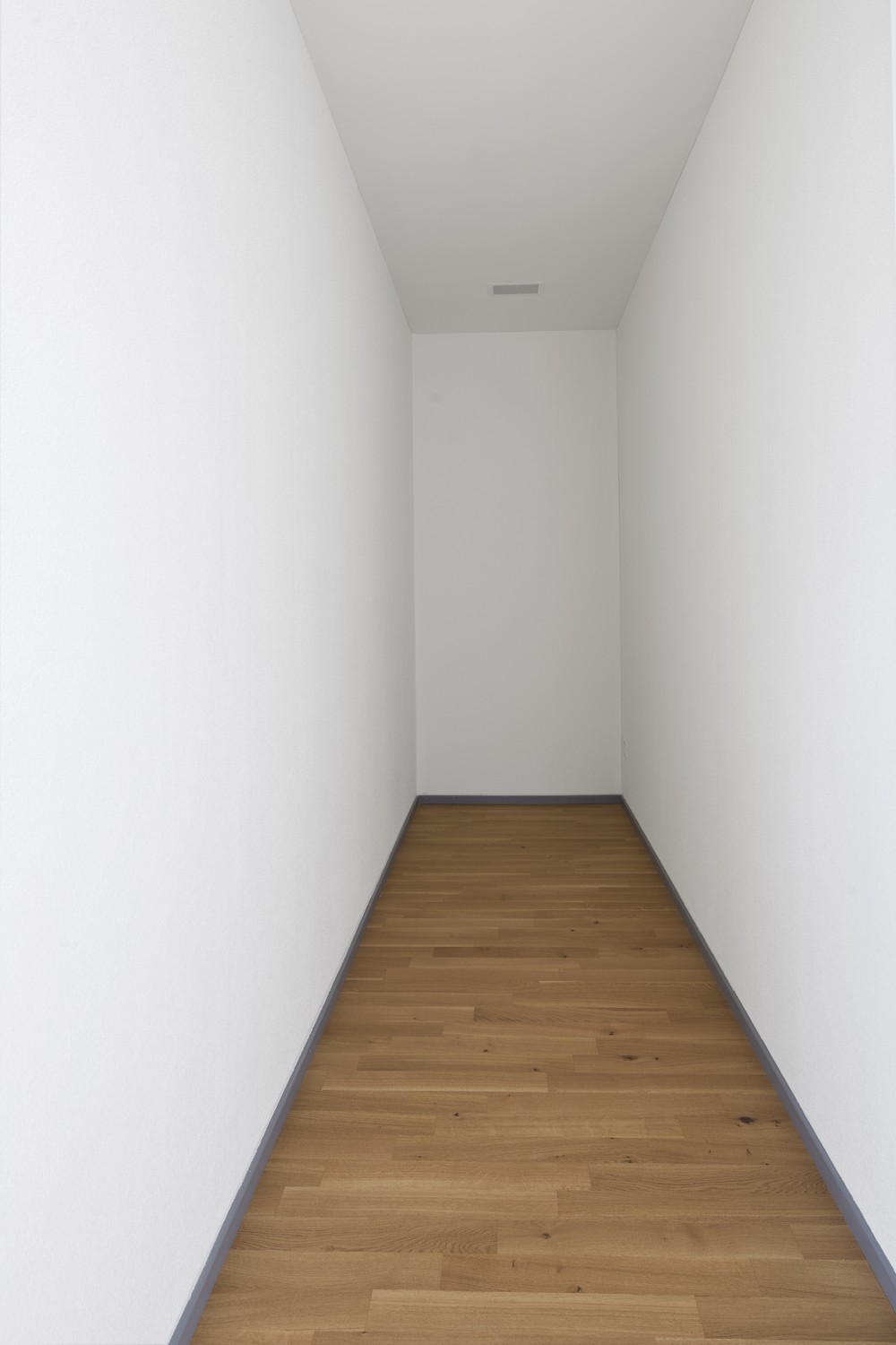 Loft 1 ½ pièces