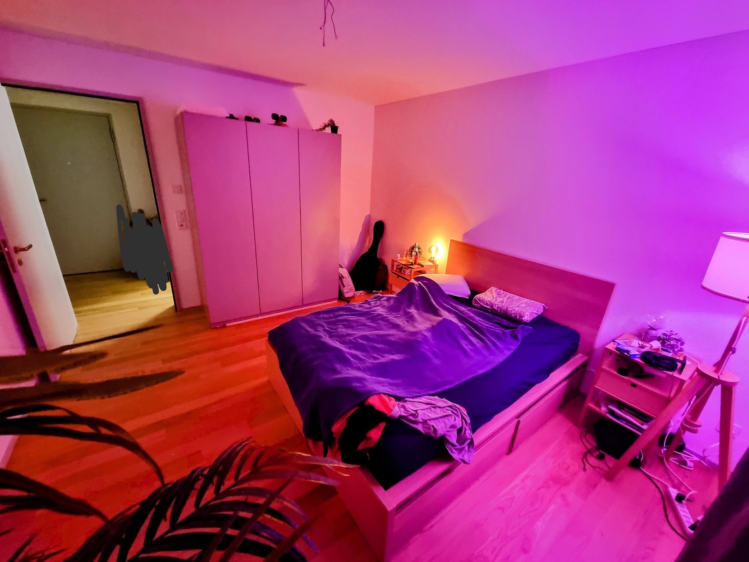 Chambre dans une colocation

Sous-location pour tout le mois de septembre, disponible dès le 20 août (date de début ouverte à la discussion).  
  
Appartement partagé avec deux autres personnes, Benoit un post doc en plantes et Leon qui a une startup sur les trains :) Super chill pour passer du temp