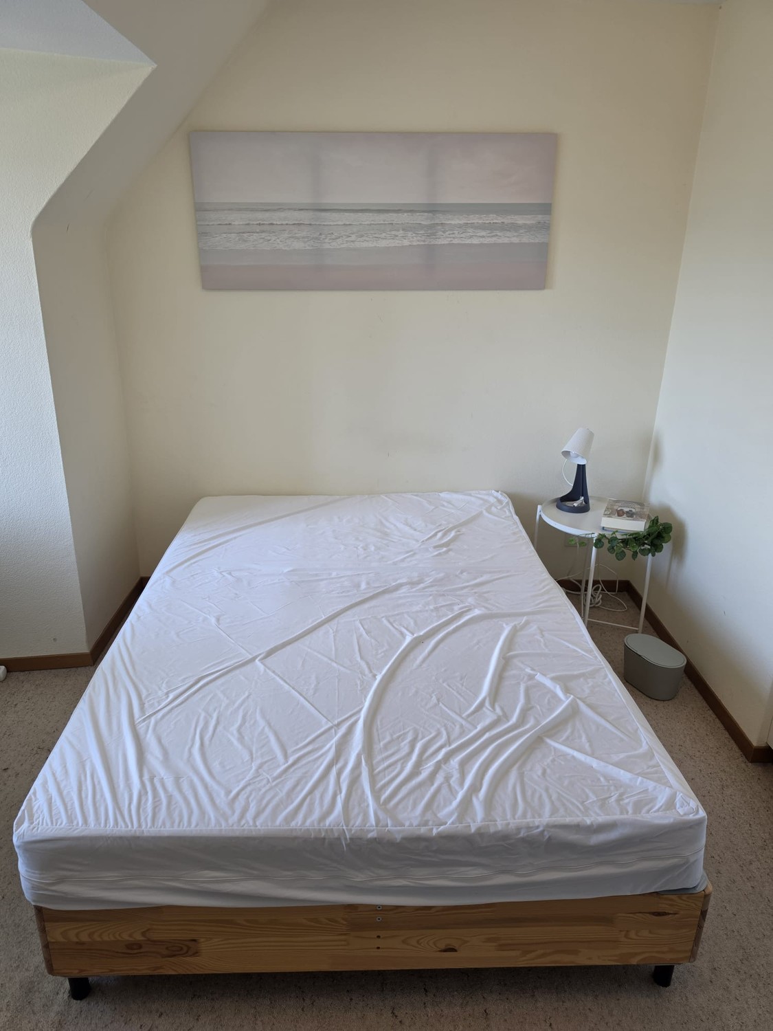 Chambre dans une colocation

La chambre est une suite super douillette avec une salle de bain privée dans une maison partagée. La chambre est louée meublée avec un lit, un bureau et une chaise, une armoire, une commode et une table de chevet, ainsi que quelques décorations qui donnent vie à la pièce