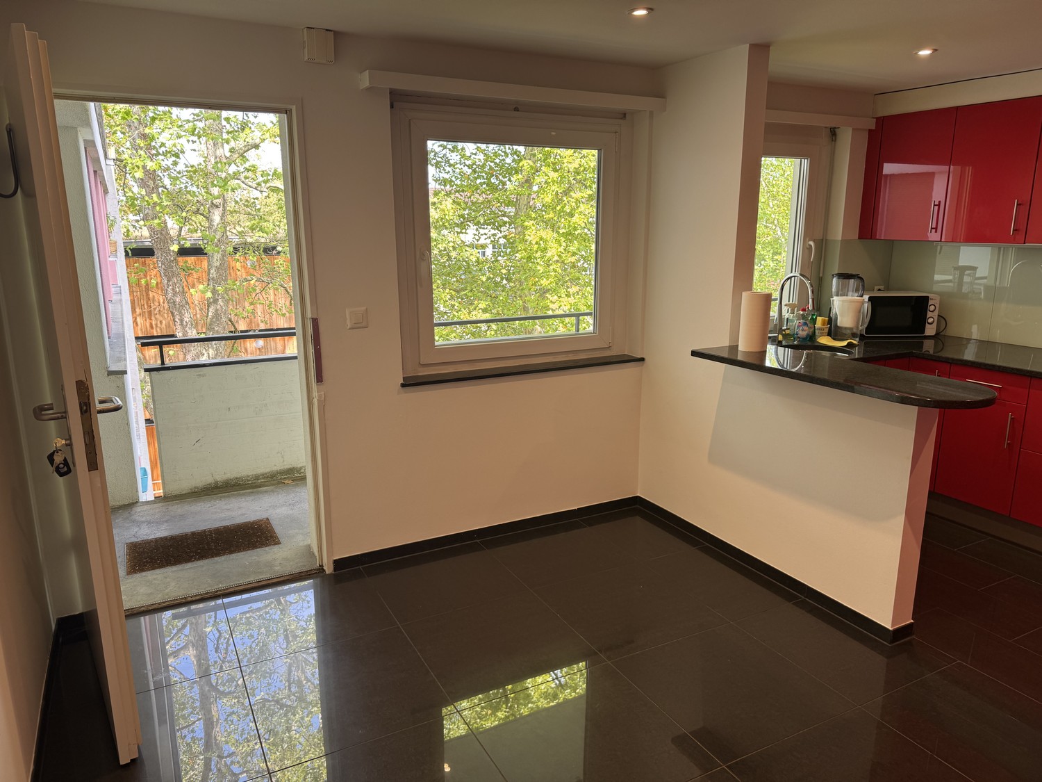 Appartement de 2 ½ pièces