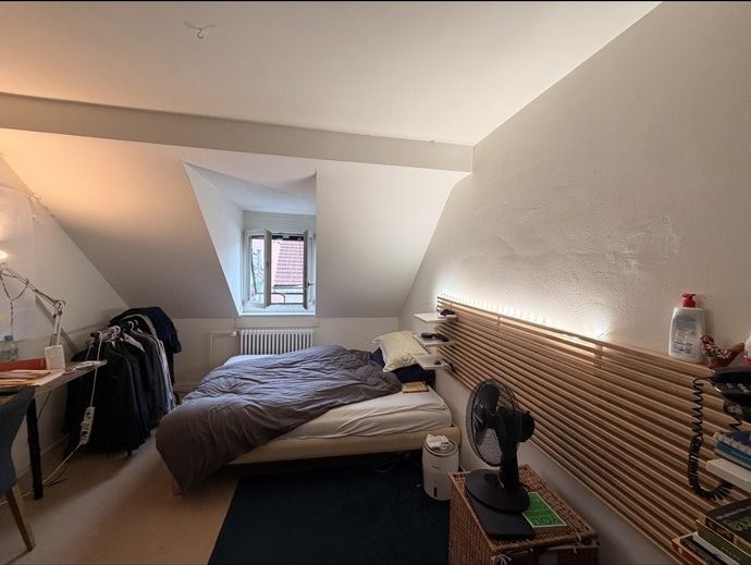 Room in a shared flat
