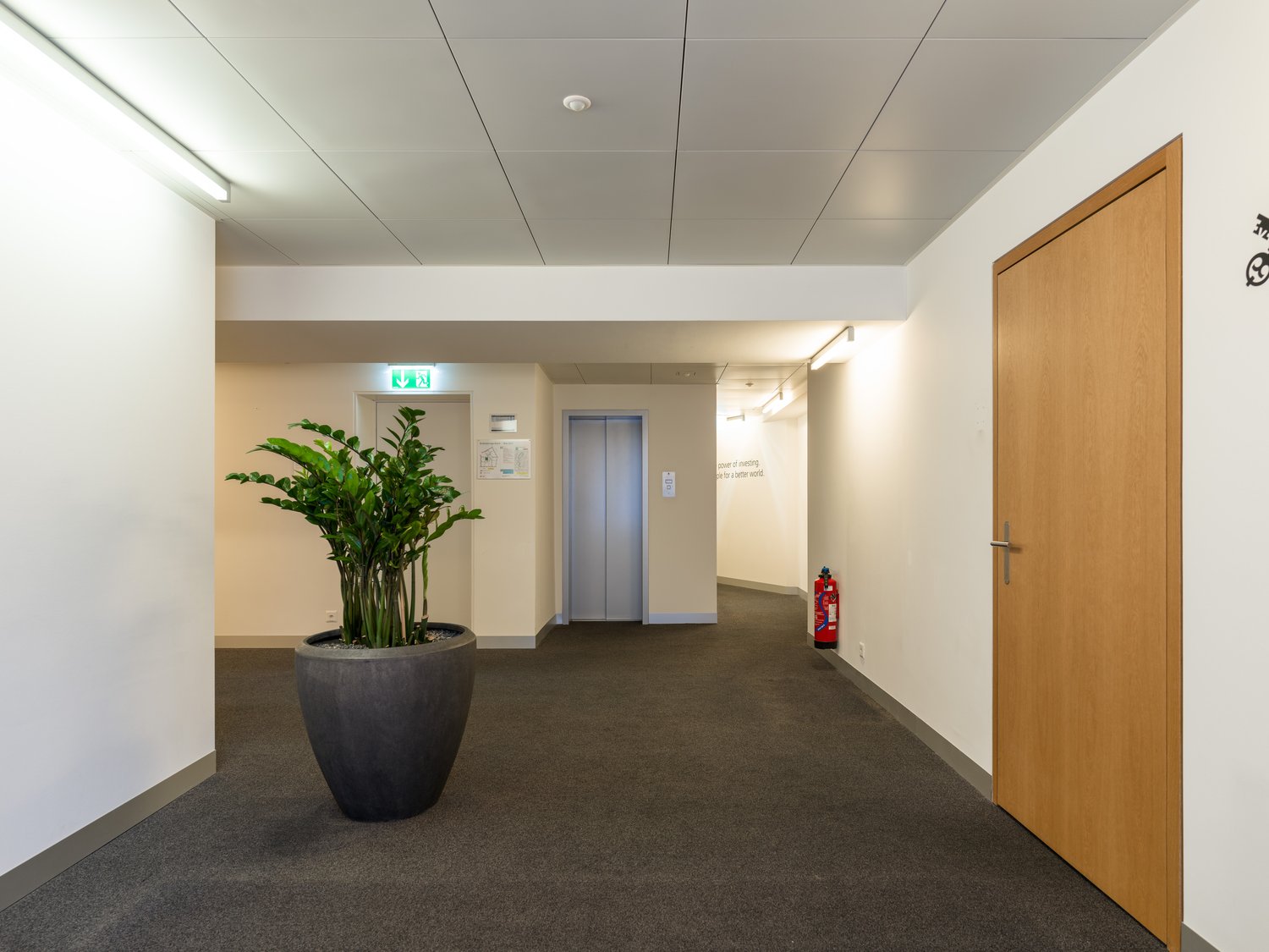230m² bureau