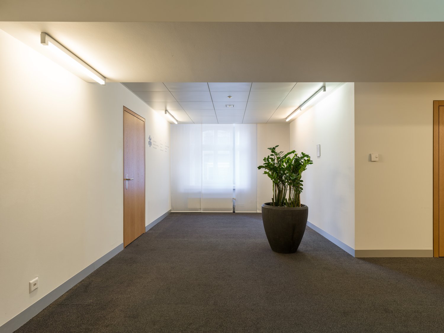 230m² bureau