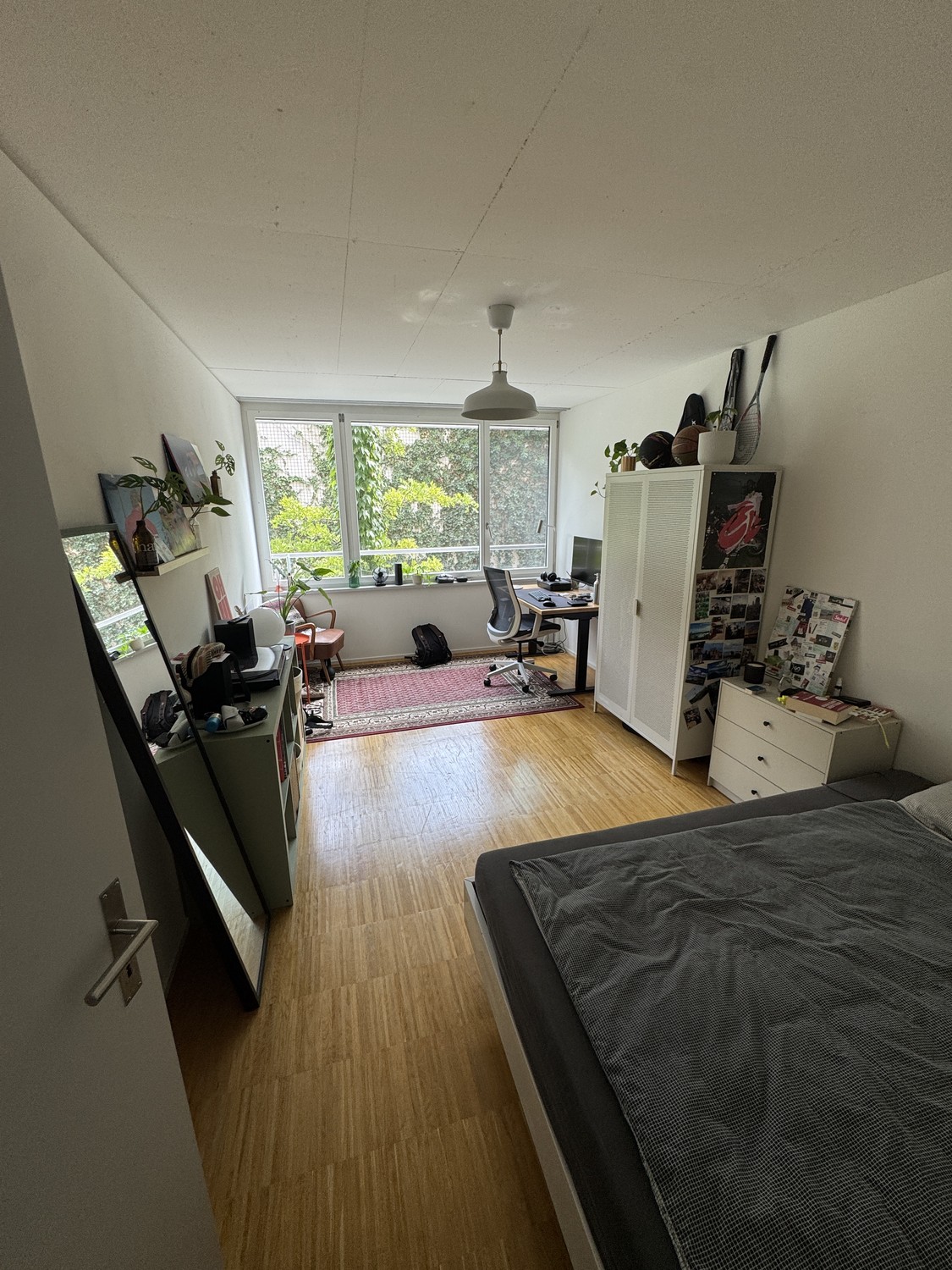 Room in a shared flat
